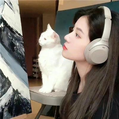 铁马骝